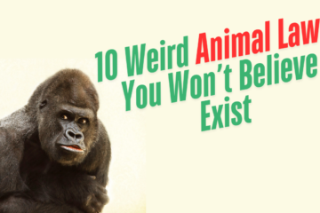 10 Weird Animal Laws You Won’t Believe Exist