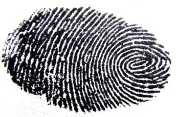 fingerprint