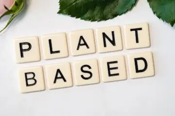 Plant Based Meat Alternative